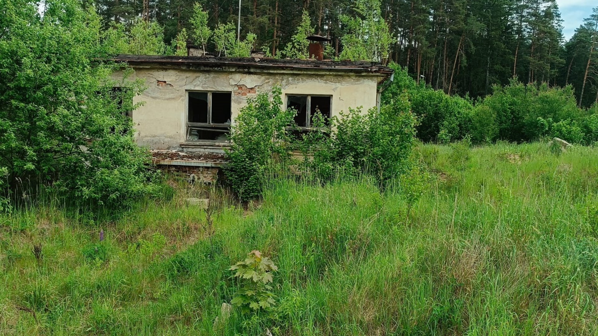 Obiekt na sprzedaż